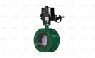 Concentric Double Flanged Butterfly Valve